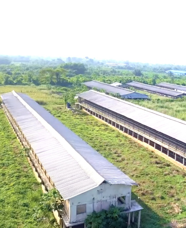 5KGE Poultry Farm Buildings
